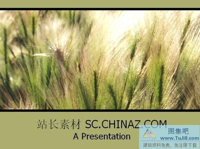 草原風(fēng)景ppt模板下載