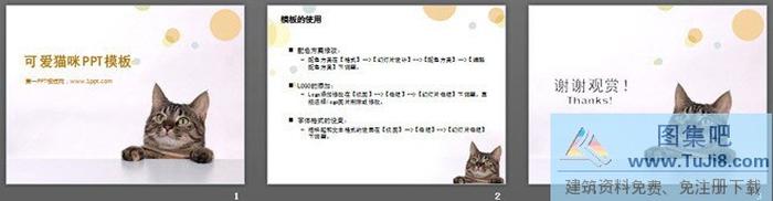 可愛貓咪幻燈片模板下載