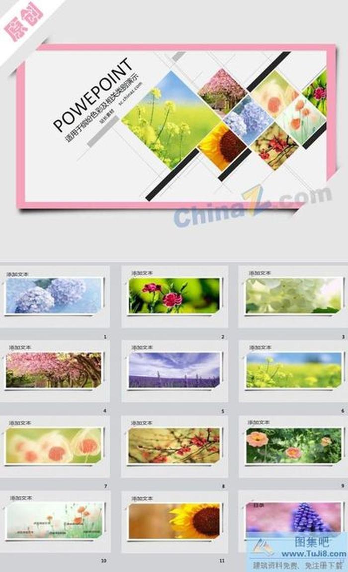 美麗照片墻ppt模板下載
