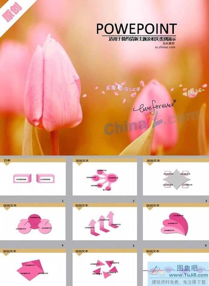 郁金香愛情ppt模板下載