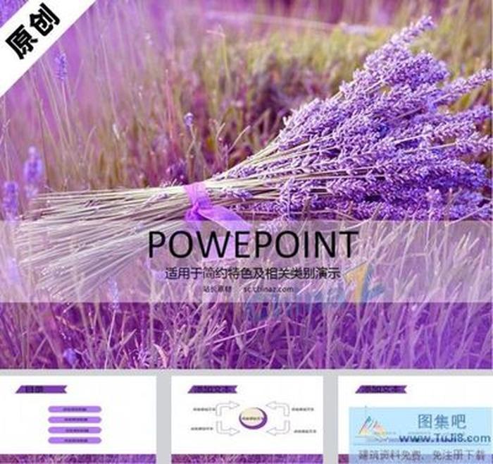 浪漫薰衣草PPT模板