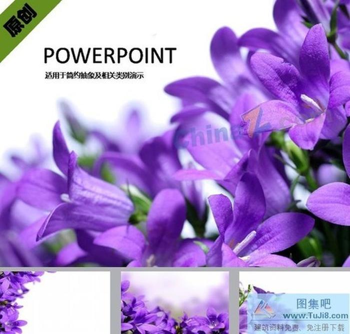 淡紫色花卉ppt背景圖片