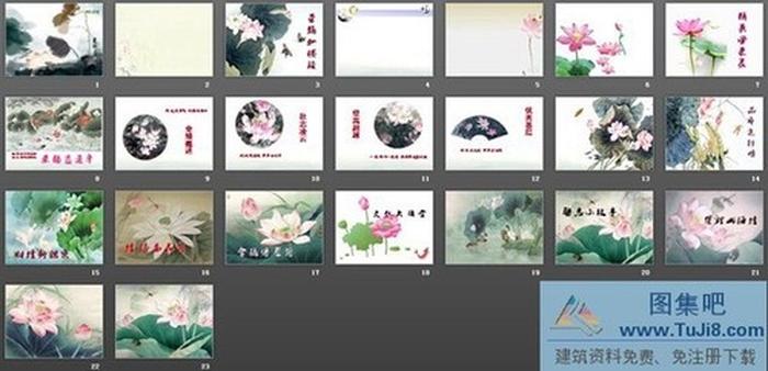 荷花PPT背景圖片大全