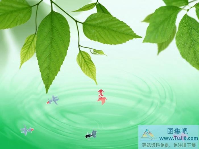 清新樹葉PPT模板