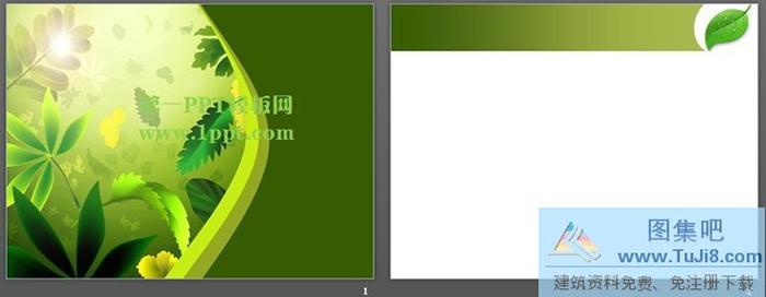 樹葉背景清新藝術(shù)PPT模板下載