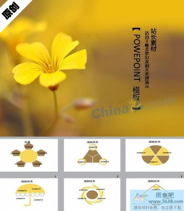 小黃花ppt模板下載