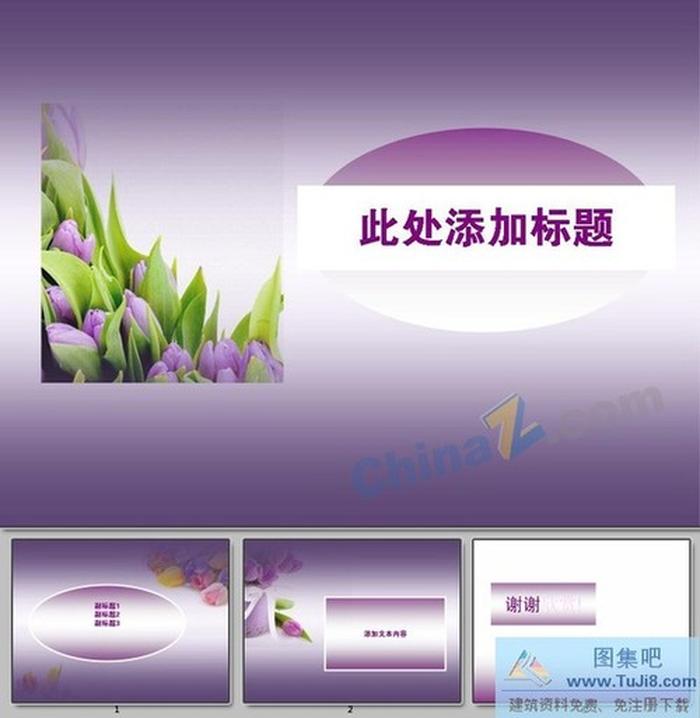 郁金香ppt模板下載