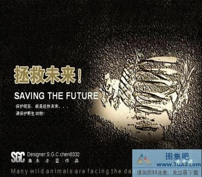 保護(hù)野生動(dòng)物PPT模板