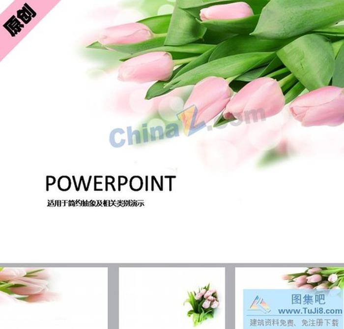 粉郁金香ppt背景圖片