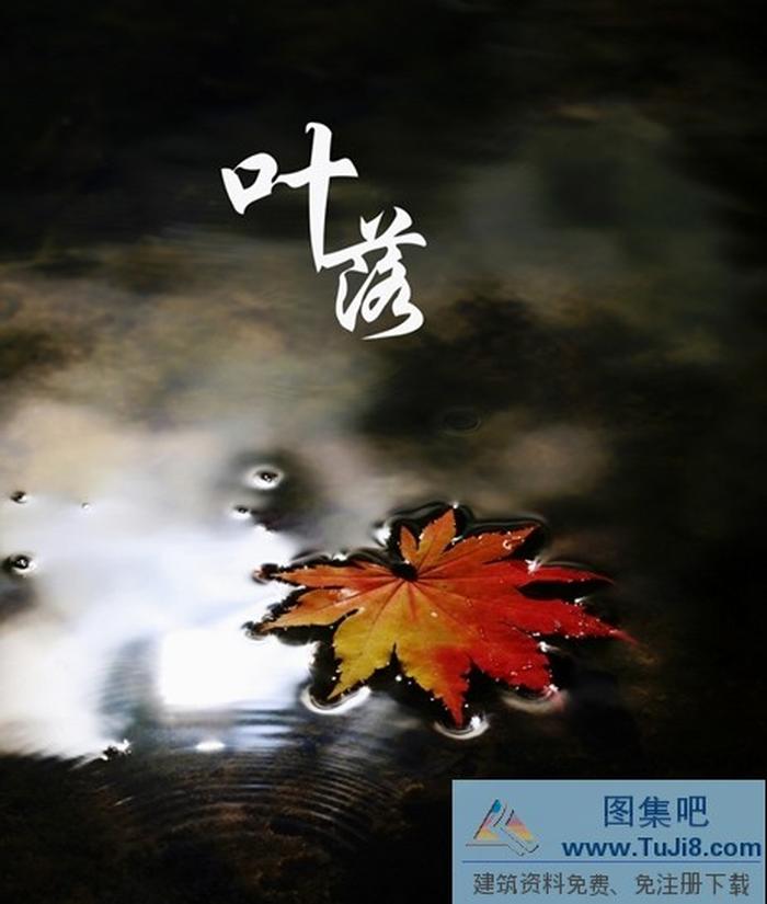 葉落設(shè)計PPT模板