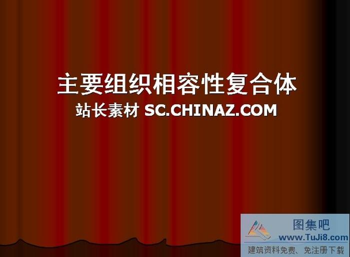 項(xiàng)目組織PPT模板