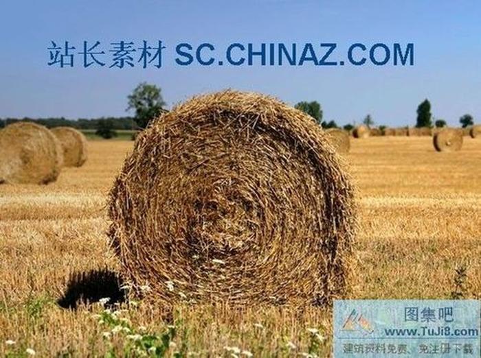 田野風(fēng)景PPT模板