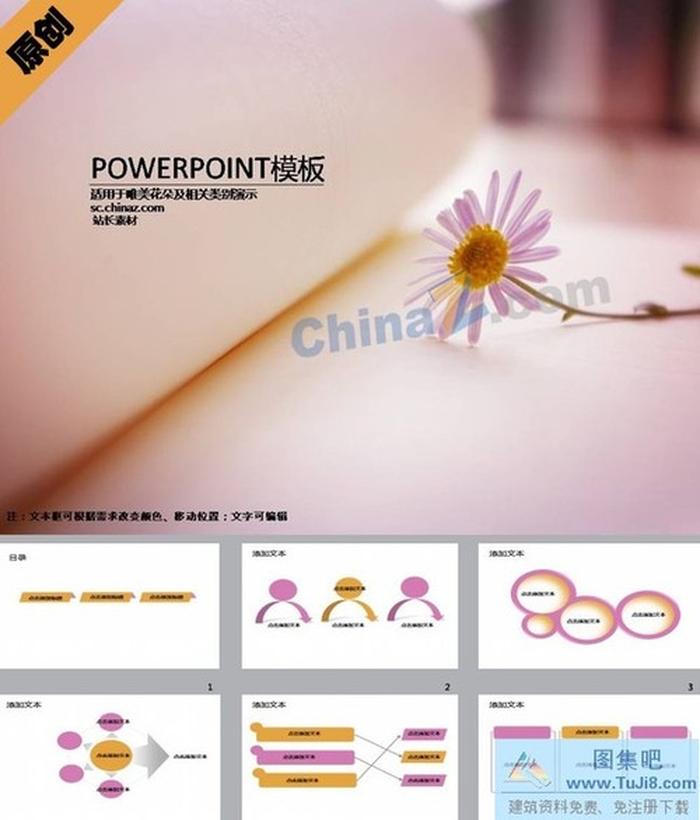 粉嫩雛菊ppt模板下載