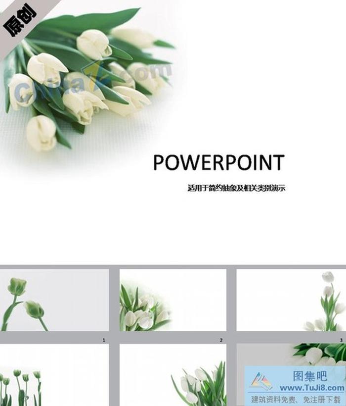 純白郁金香ppt背景圖片