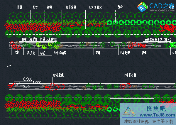 滁州市東坡路100米標準段道路綠化施工圖