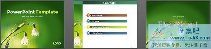 綠色植物鮮花背景PPT模板下載