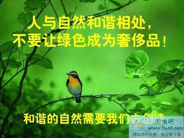 人與自然PPT模板