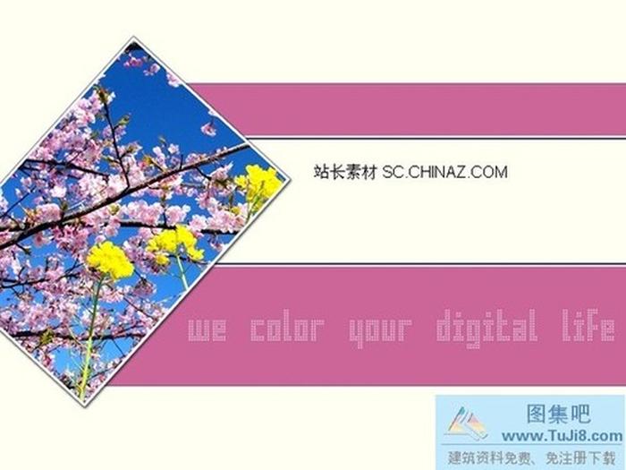 粉色桃花PPT模板