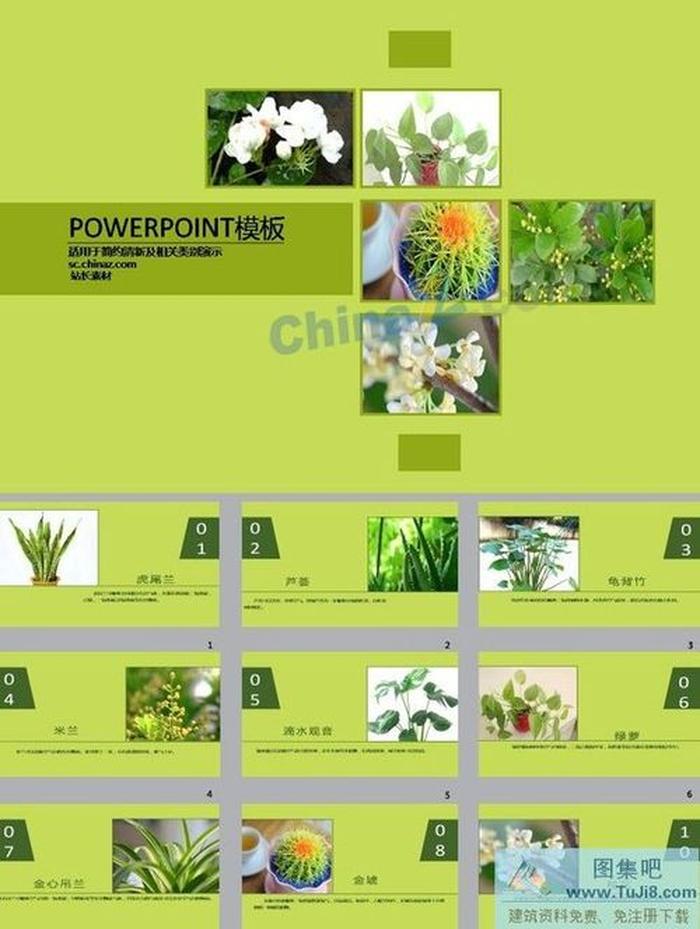 綠色栽培ppt模板下載