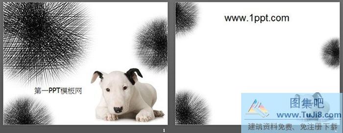可愛的斑點(diǎn)狗背景PPT模板下載