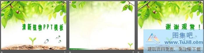 清新的樹葉背景PPT模板下載