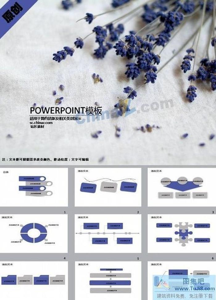 干花薰衣草ppt模板下載