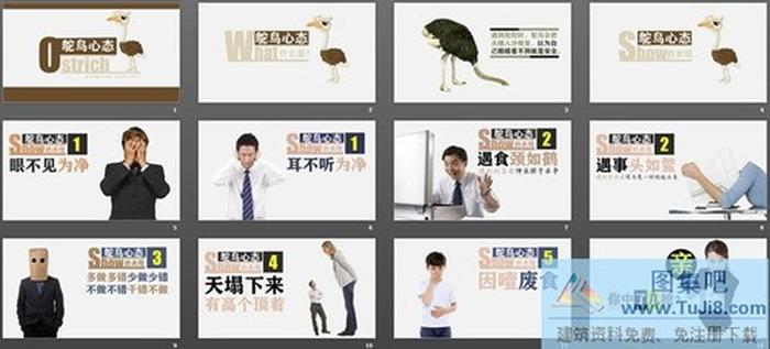 《鴕鳥心態(tài)》PPT下載