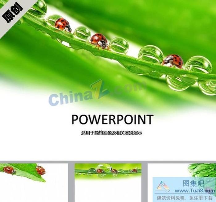 七星瓢蟲ppt模板下載