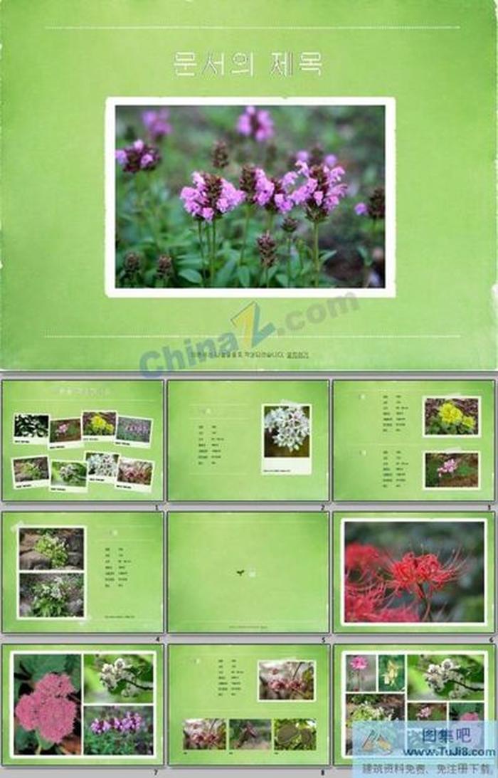 綠色自然PPT模板