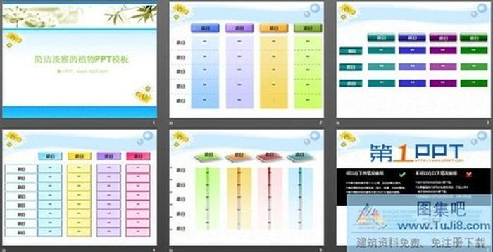 淡雅菊花背景植物PPT模板下載