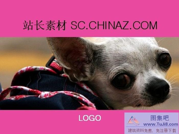 可愛狗狗ppt模板下載