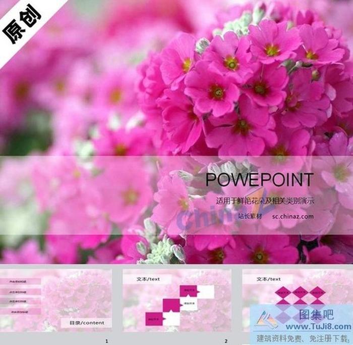 美麗鮮花PPT背景圖片