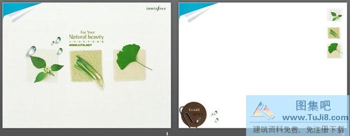 蔬菜植物背景的韓國PPT模板下載