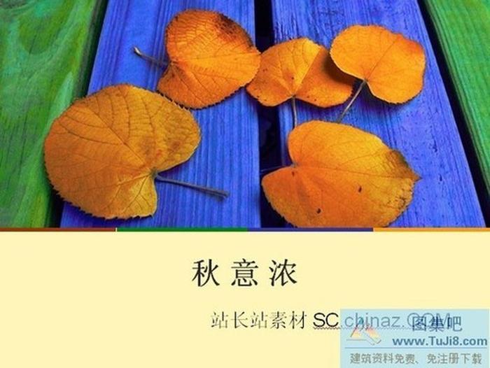秋意濃PPT模板