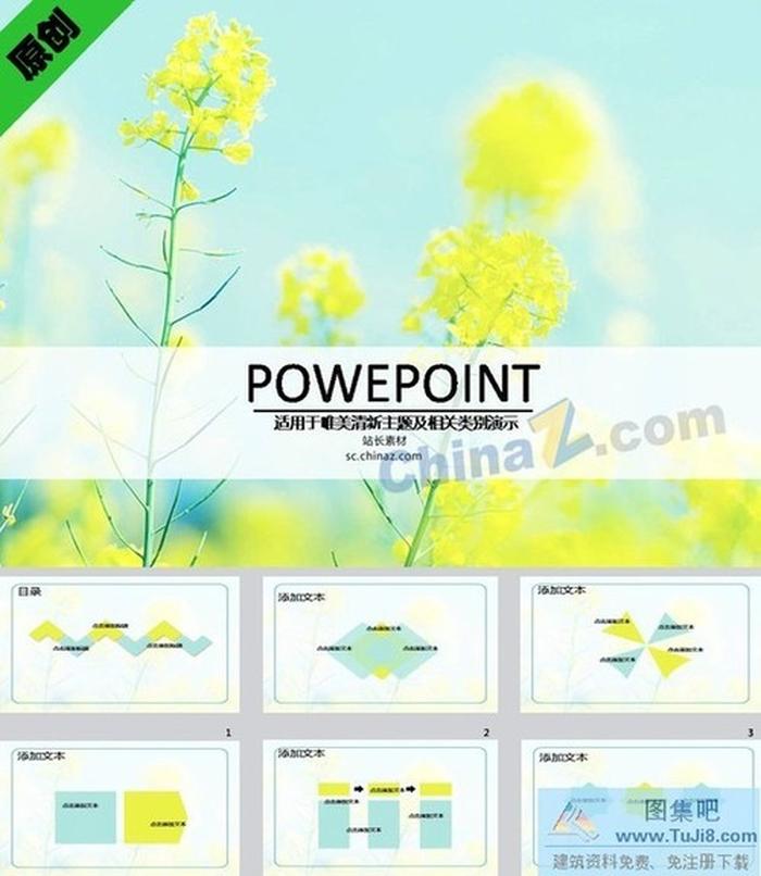 油菜花ppt背景圖片