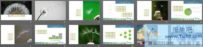 蒲公英背景幻燈片模板下載