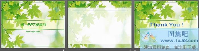 綠色楓葉背景PPT模板下載