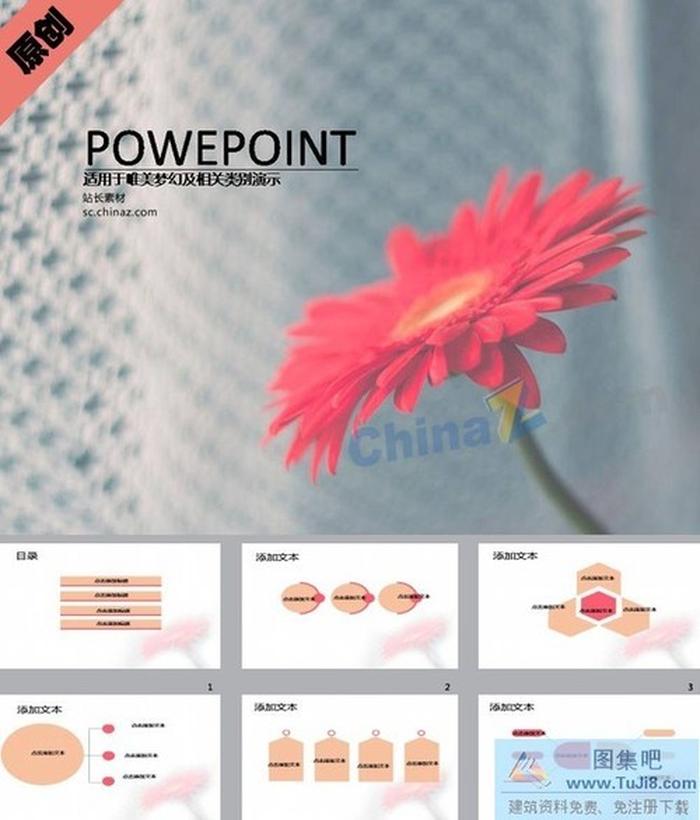 康乃馨ppt模板下載
