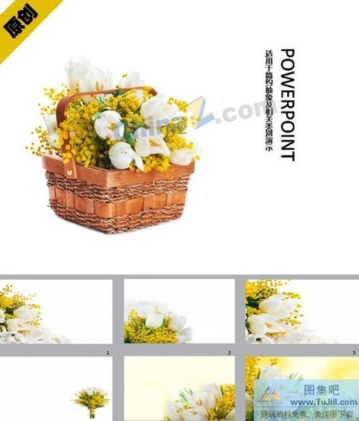 花卉欣賞ppt背景圖片