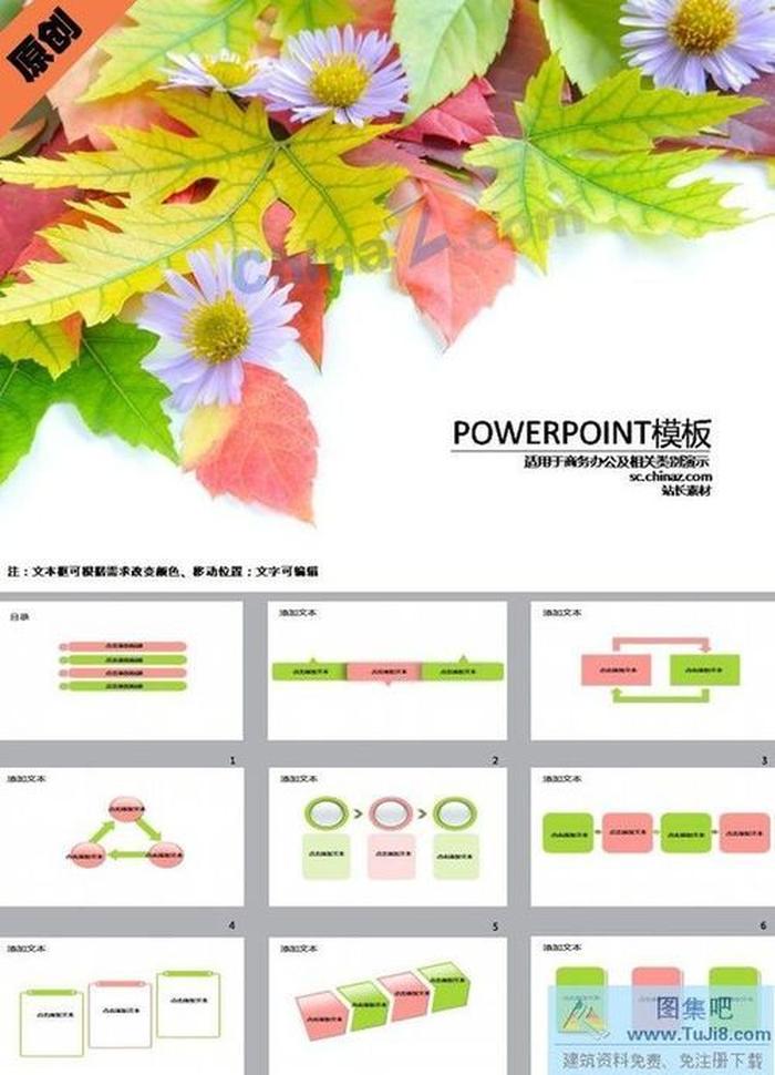 動(dòng)感楓葉背景PPT模板