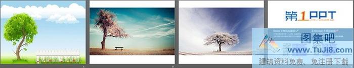 三張唯美藍(lán)天白云大樹PPT背景圖片