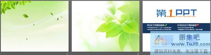 兩張黃綠色漂亮樹葉PPT背景圖片