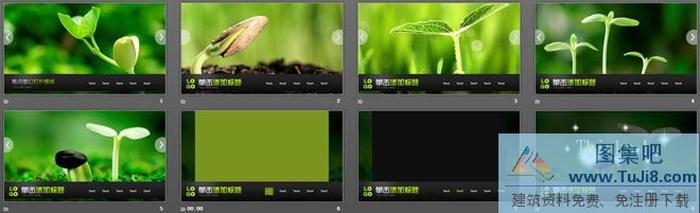 動(dòng)態(tài)綠苗豆芽背景的植物幻燈片模板下載