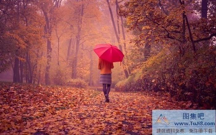 楓林散步女孩PPT背景圖片