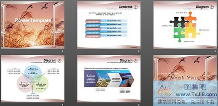 紅色蘆葦PPT模板下載