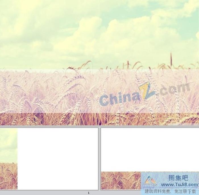 麥田ppt背景圖片