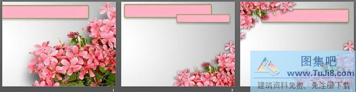 鮮花背景植物主題PPT模板下載