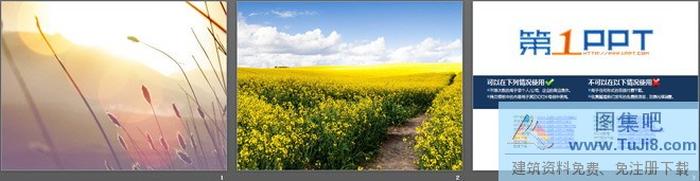 兩張唯美自然PPT背景圖片
