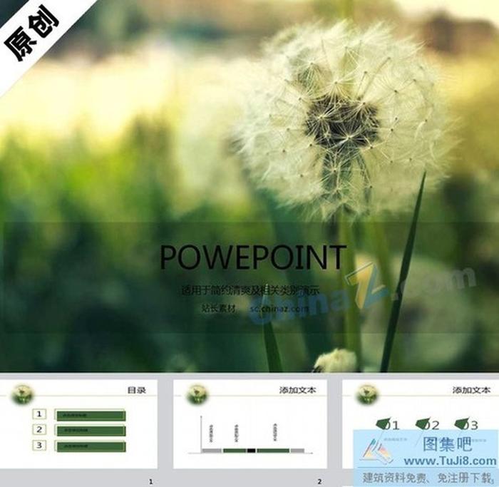 蒲公英花語ppt背景圖片