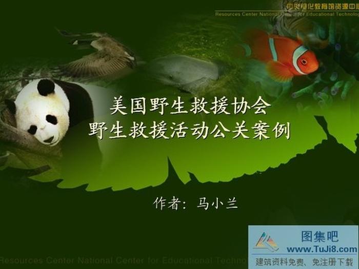 保護(hù)動(dòng)物PPT模板